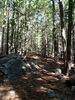 photo thumbnail #7