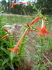 photo thumbnail #11