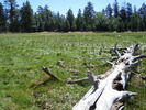 photo thumbnail #14