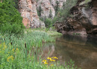 photo thumbnail #11