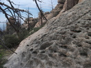 photo thumbnail #6