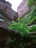 photo thumbnail #14