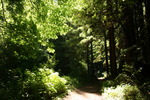 photo thumbnail #10
