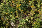 photo thumbnail #14