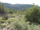 photo thumbnail #3