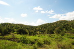 photo thumbnail #10