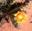 photo thumbnail #15