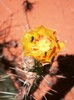 photo thumbnail #14