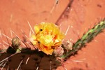 photo thumbnail #13