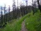 photo thumbnail #4