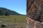 photo thumbnail #5