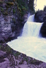 photo thumbnail #12