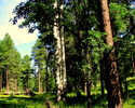 photo thumbnail #1