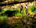 photo thumbnail #8