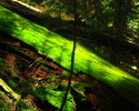 photo thumbnail #10