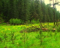 photo thumbnail #14