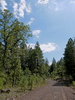 photo thumbnail #7