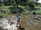 photo thumbnail #10
