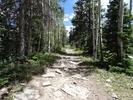 photo thumbnail #2