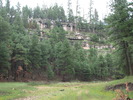 photo thumbnail #9