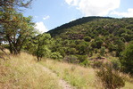 photo thumbnail #10