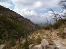 photo thumbnail #11