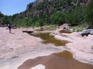 photo thumbnail #5