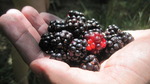 photo thumbnail #4