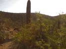 photo thumbnail #3