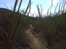photo thumbnail #12