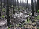photo thumbnail #10