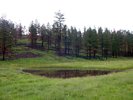 photo thumbnail #11