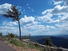 photo thumbnail #4