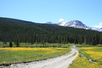 photo thumbnail #10
