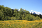 photo thumbnail #11