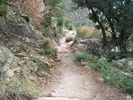 photo thumbnail #3