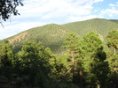 photo thumbnail #7