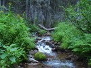 photo thumbnail #13