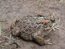 photo thumbnail #2