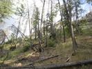 photo thumbnail #4