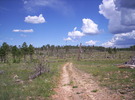 photo thumbnail #1