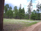photo thumbnail #7