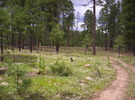 photo thumbnail #9
