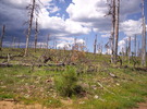 photo thumbnail #10