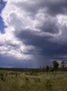 photo thumbnail #15