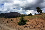 photo thumbnail #9