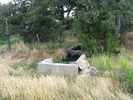photo thumbnail #1