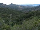photo thumbnail #4