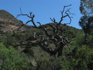 photo thumbnail #10