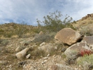 photo thumbnail #2